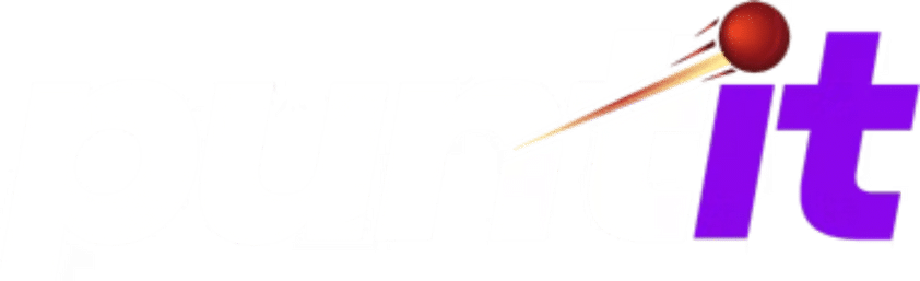 puntit logo